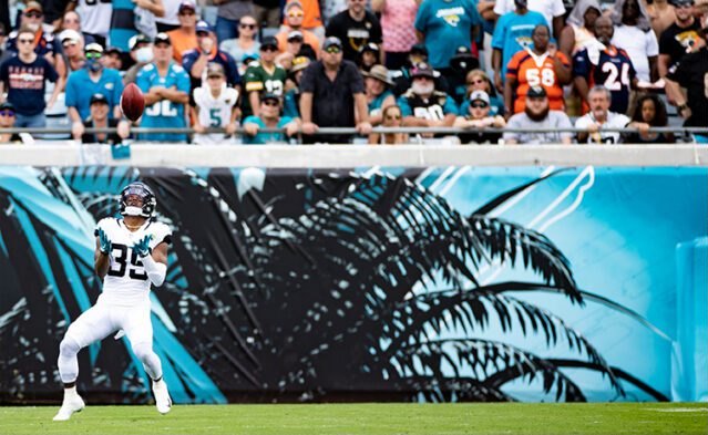 A player warming up on the field in front of the palm-textured wall graphics.