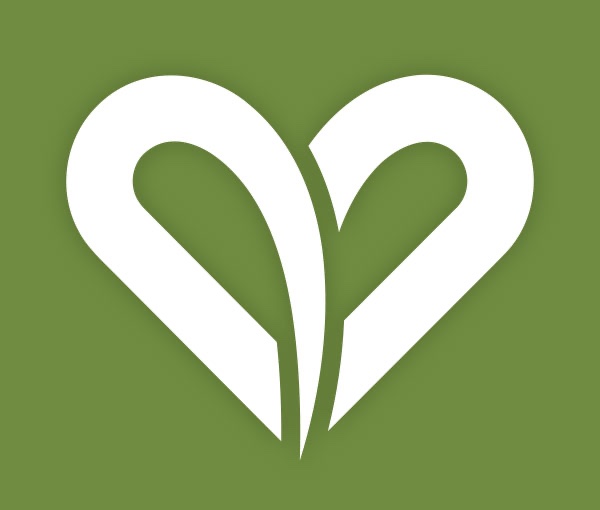 The St. Baldrick's heart mark in white on a green field.